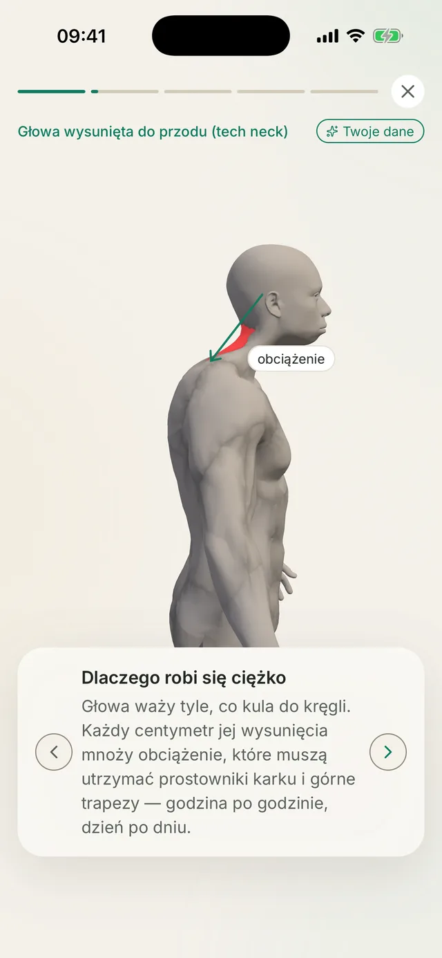 Ekran Kallen: historia postawy odtwarzana na modelu 3D z opisem wzorca